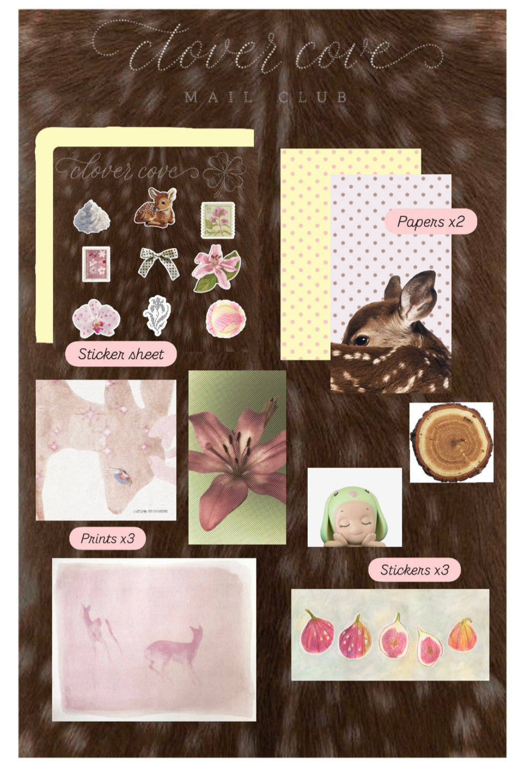 July Edition ~ Snail Mail